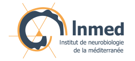 INMED